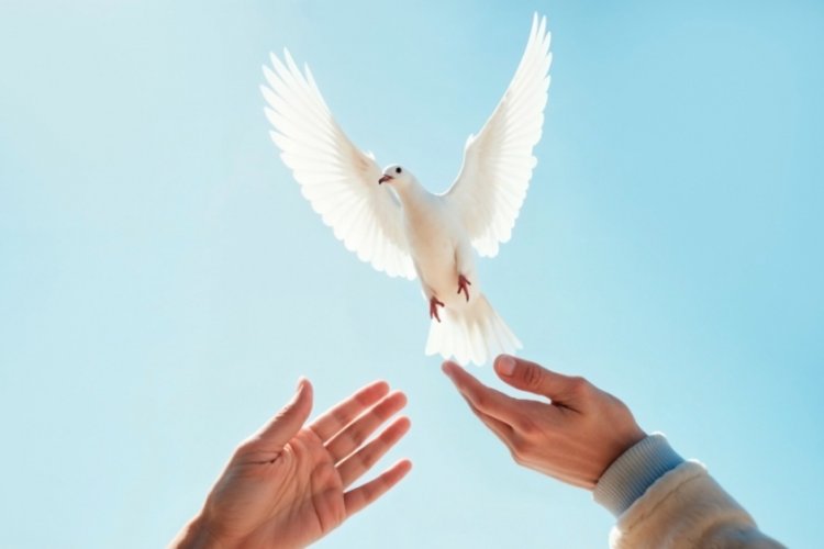 Dünya Barış Günü nedir, neden kutlanır? 1 Eylül Dünya Barış Günü ne zaman ortaya çıktı? 