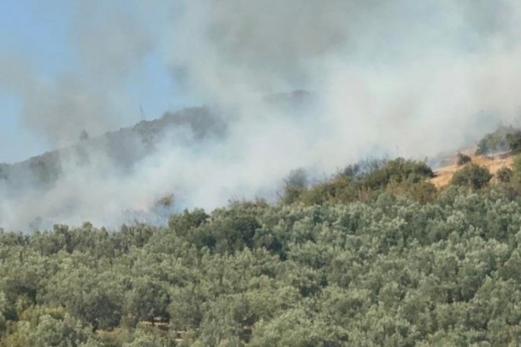 Bursa bir kez daha alevlere teslim!