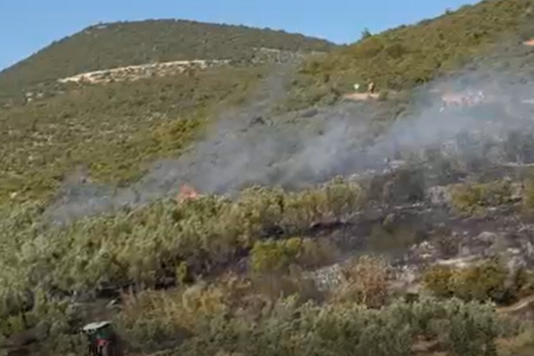 Bursa'da hızla yayılan yangın korkutmuştu! Alandan haber var...