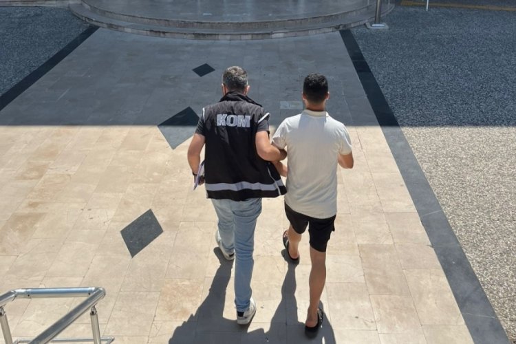 Muğla'da sahte dolar operasyonu