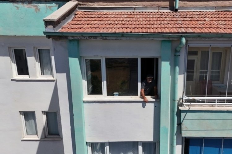 Bu düzenek görenleri şaşırtıyor; Vızır vızır çalışan arılar 15. kata bal götürüyor