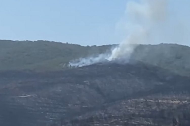 Bursa'da bir orman yangını daha!