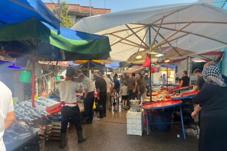 Balık sezonu açılıyor! Bu yıl hamsi bereketi yaşanacak...