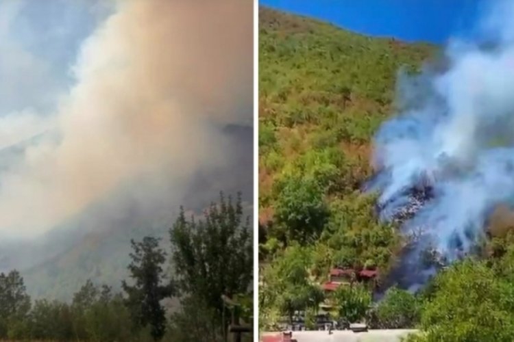 Küre Dağları Milli Parkı'nda orman yangını çıktı!