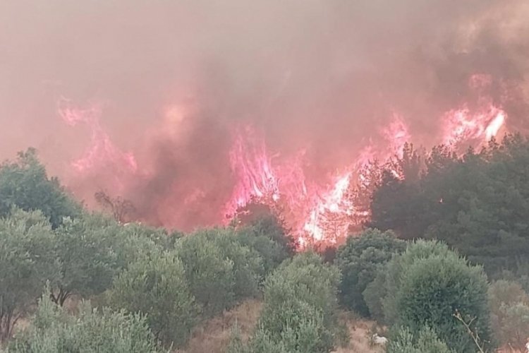 Denizli'de 4 gündür süren yangına müdahale yeniden başladı