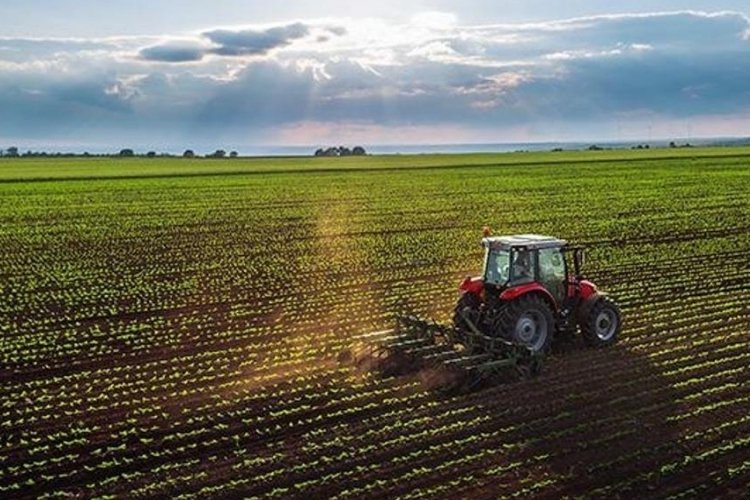 ÇKS başvuruları başladı: Çiftçi Kayıt Sistemi başvurusu nasıl yapılır? ÇKS başvuruları için son tarih ne zaman?