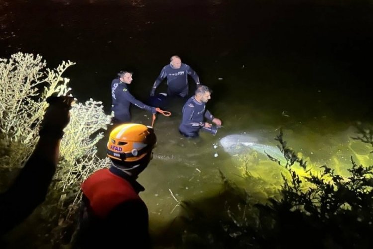 Sazlık alanda erkek cesedi bulundu 