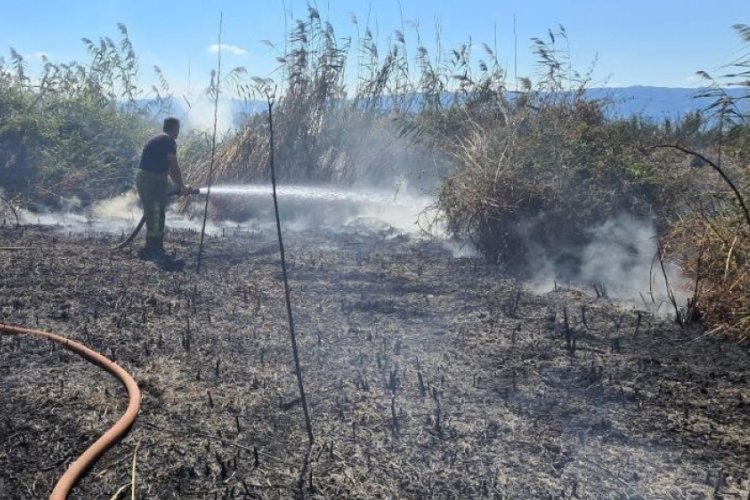 Bursa'da sazlık alanda çıkan yangın korkuttu
