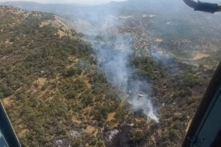 Şırnak'ta orman yangını