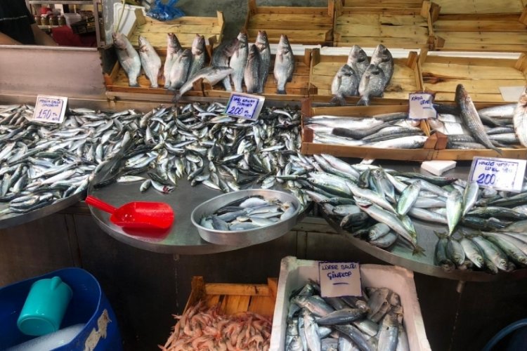 Bursa'da sezon açıldı! Peki fiyatlar ne durumda?