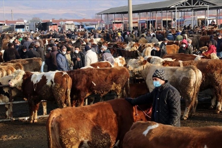 Bakan Yumaklı duyurdu: Bursa'da hayvan pazarları yeniden açıldı