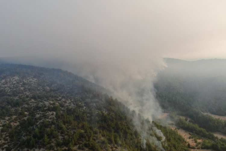 Kastamonu'daki orman yangınına müdahale böyle görüntülendi