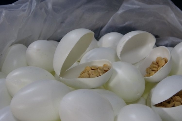 Sürpriz yumurtalardan uyuşturucu çıkmıştı: 6 şüpheli tutuklandı