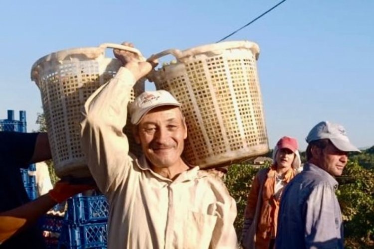 Gençlere taş çıkartıyor