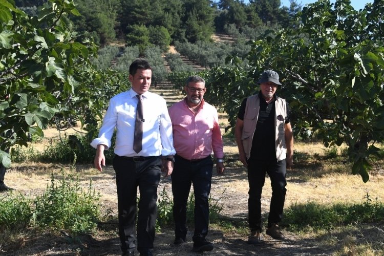 Başkan Aydın'dan Osmangazi Siyah İncir Festivali'ne davet