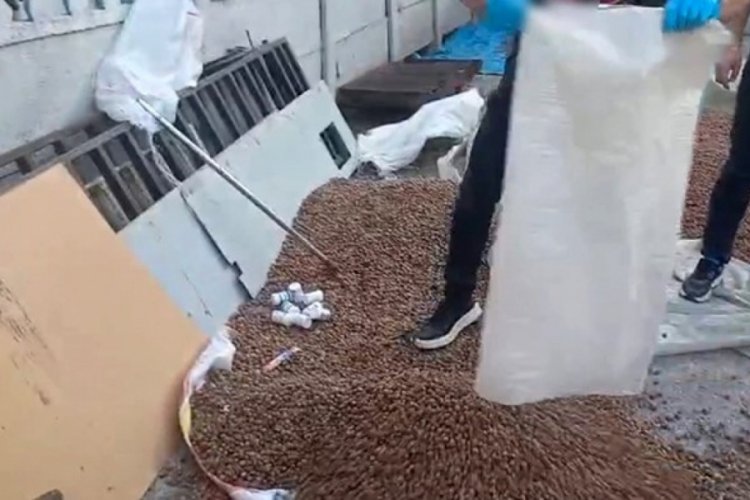 Sakarya'da uyuşturucu zulası fındık çuvalından çıktı