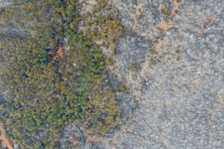 Kastamonu cayır cayır yandı! Alevlerden geriye acı manzara kaldı