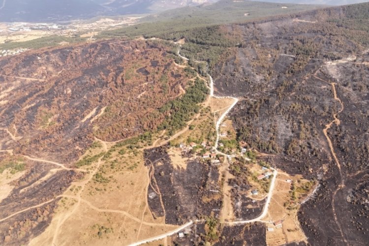 Devasa yangın 20 saat sonra kontrol altına alındı! 'Karga' detayı dikkat çekti...