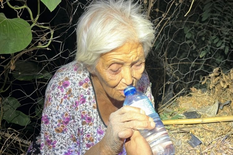 Yaşlı kadın mama verdiği köpek sayesinde bulundu
