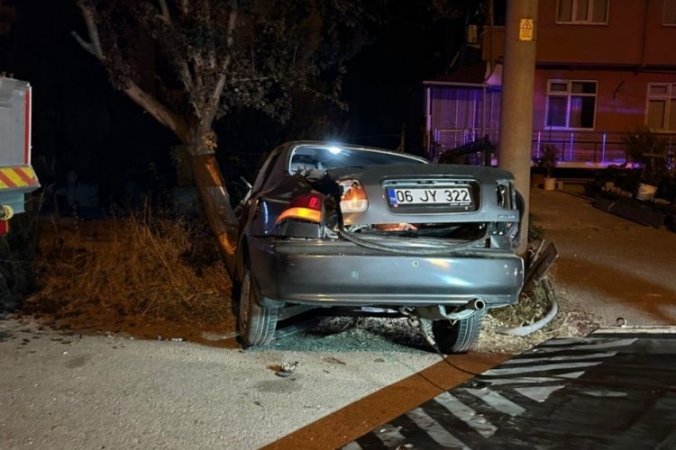 Bolu'da alkollü sürücü ağaca çarptı: 2 yaralı