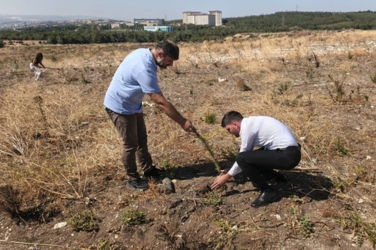 Sigarayı bırakan vatandaşlar fidan dikimi gerçekleştirdi