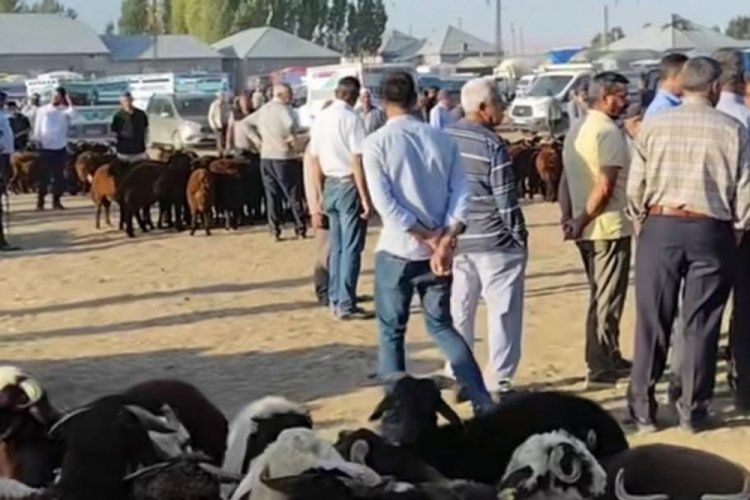Ağrı'da hayvan pazarı yeniden açıldı
