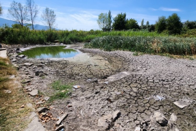 Bursa'da tarihi ilk insanlığa kadar uzanan bölgede acı tablo!