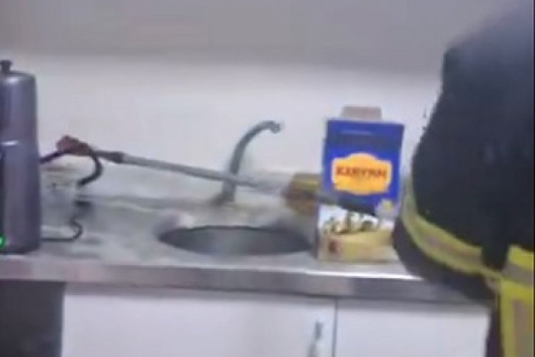 Şırnak'ta iş yerinde yılan paniği