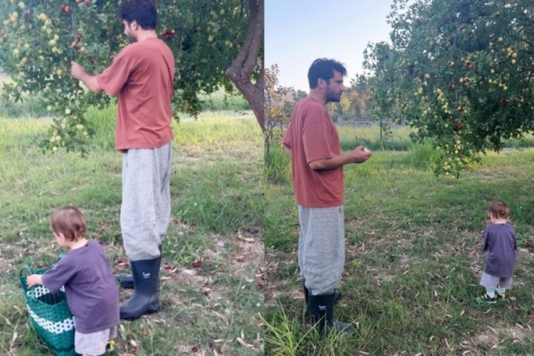 Kaan Urgancıoğlu oğlu ile ağaçtan meyve topladı