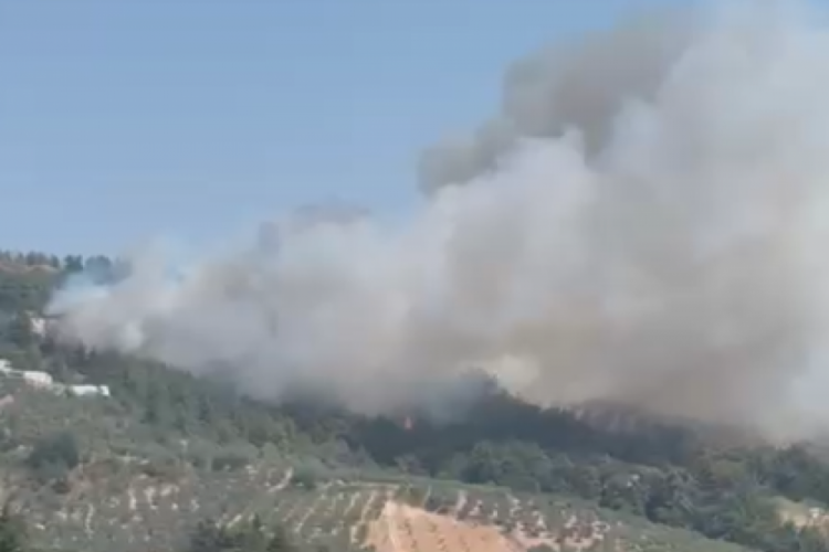 Bursa'da büyük orman yangını! Dumanlar şehrin her yerinden görünüyor...