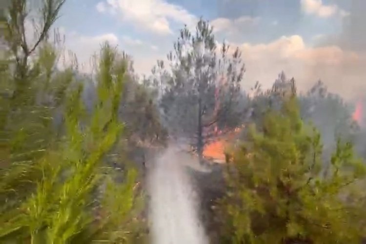 Elazığ'da ormanlık alanda yangın