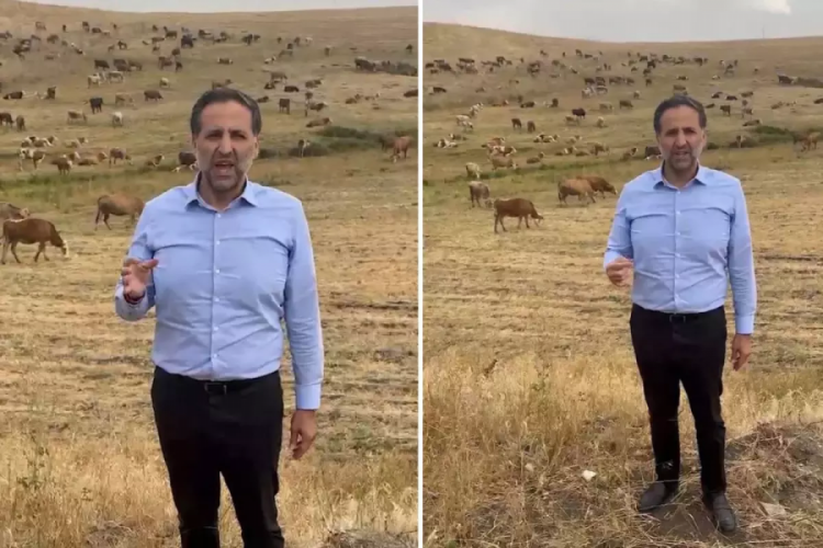 Arkasına hayvan sürüsünü alan vekil, Bakan Yumaklı'ya seslendi