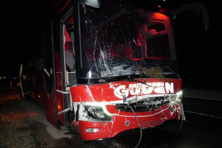 Yola çıkan hayvanlara otobüs ve cip çarptı: 3 inek telef oldu 