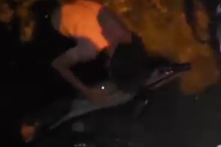 Bursa'da gece saatlerinde kıyıya vurdu! Vatandaşlar tarafından...