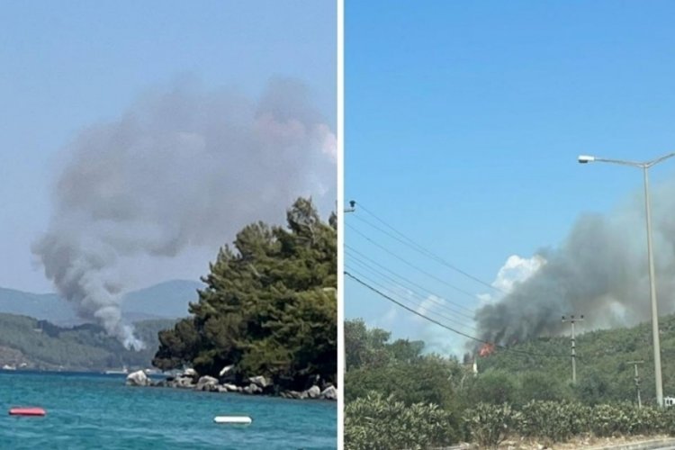 Bodrum'da orman yangını! Ekipler bölgede
