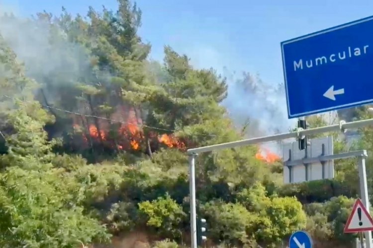 Bodrum orman yangını kontrol altına alındı