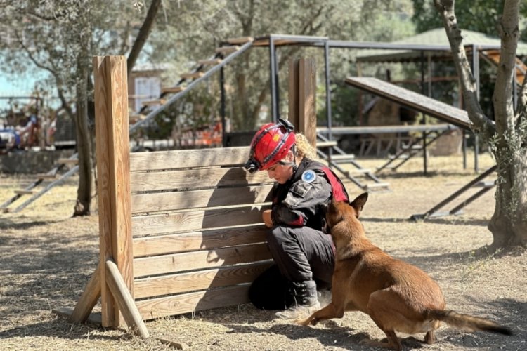 Bursa'da 'afet ve acil kurtarma' köpekleri göreve hazır