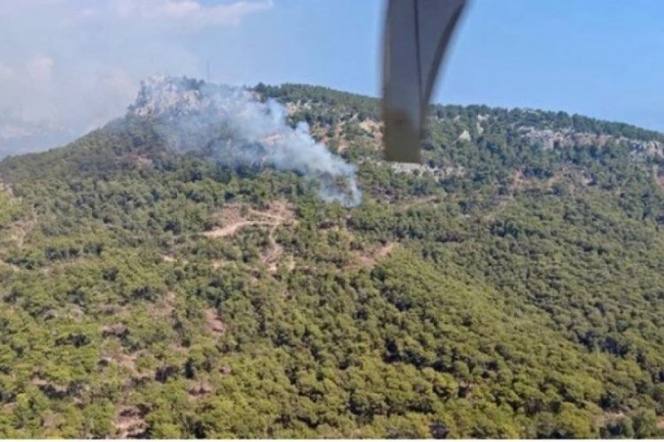Antalya'da orman yangını: Müdahale sürüyor