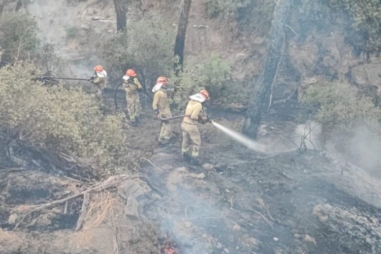 Adana'daki orman yangını kontrol altına alındı 