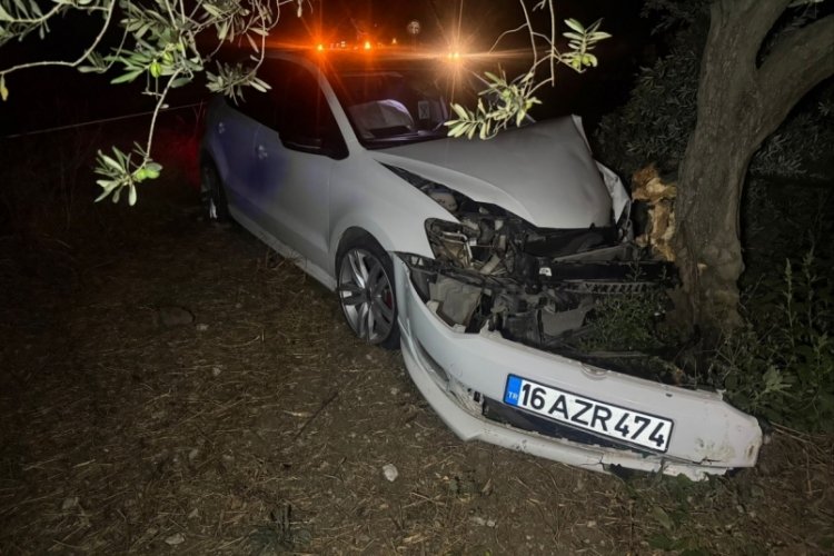 Bursa'da kontrolden çıkan otomobil zeytinliğe uçtu!
