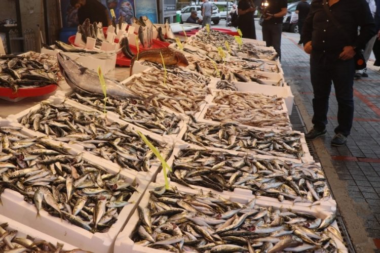 Balık fiyatları dibi gördü: Kilosu 100 liradan kapış kapış satılıyor