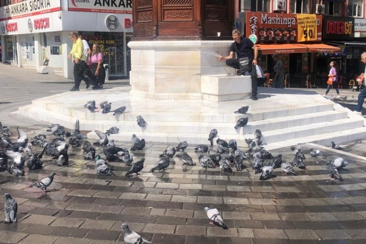 Bursa'da kuşlara can suyu!