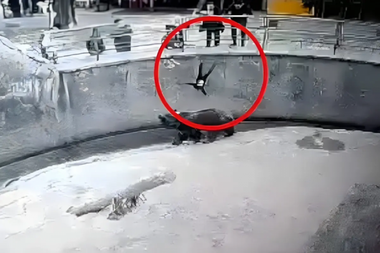 Yıllar önce hayvanat bahçesinde kafese attığı kızını bıçaklayarak öldürdü