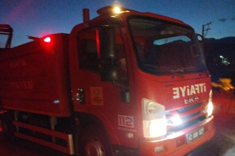 Çıktığı ağaçta mahsur kalan kediyi itfaiye kurtardı
