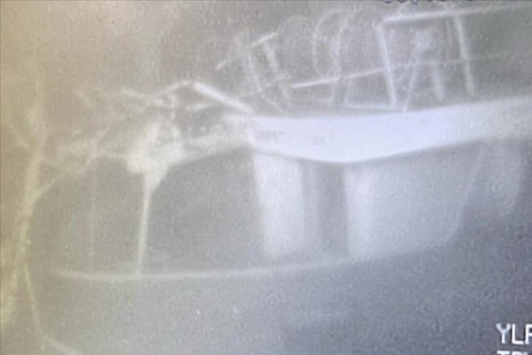 Bursa'da batan kargo gemisine ilişkin soruşturma belli oldu!