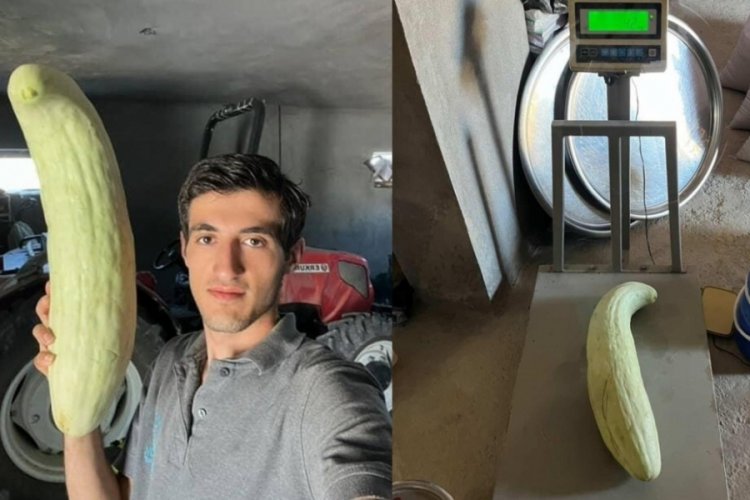 Gözlerine inanamadılar! Tam 4.5 kilo...