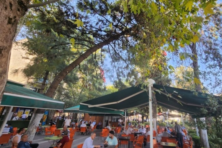 Bursa'da çay bahçesinde oturan vatandaşlar tehlikede!