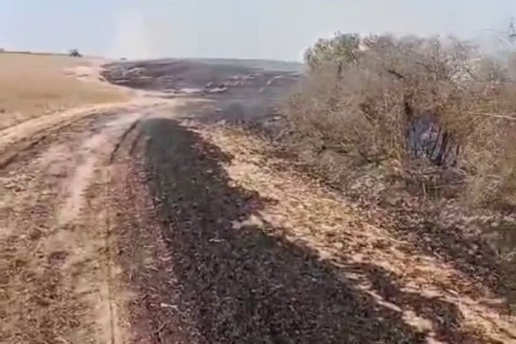 Kapaklı'da çıkan yangında 8 dönüm arazi kül oldu