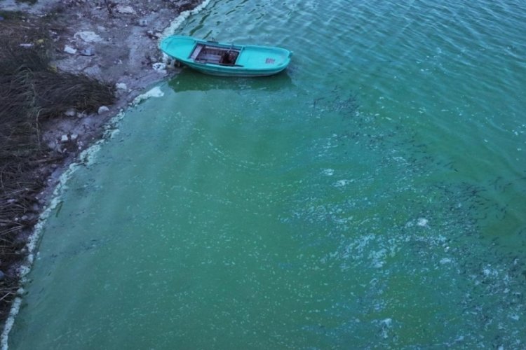 Terkos Barajı'nda suyun rengi değişti...
