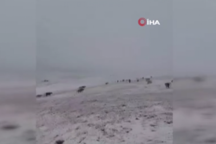 Yılın ilk karı yağdı!